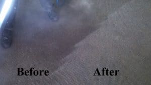 about us , Carpet Cleaning